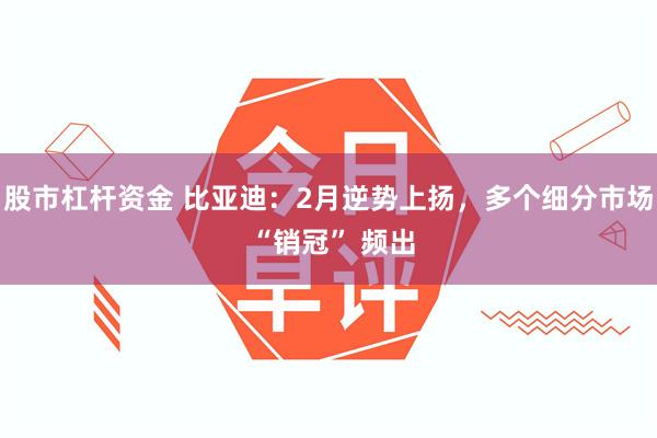 股市杠杆资金 比亚迪：2月逆势上扬，多个细分市场 “销冠” 频出