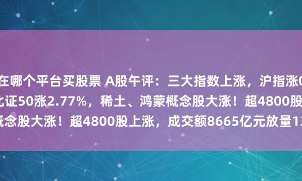 在哪个平台买股票 A股午评：三大指数上涨，沪指涨0.94%创业板指涨2%北证50涨2.77%，稀土、鸿蒙概念股大涨！超4800股上涨，成交额8665亿元放量1383亿