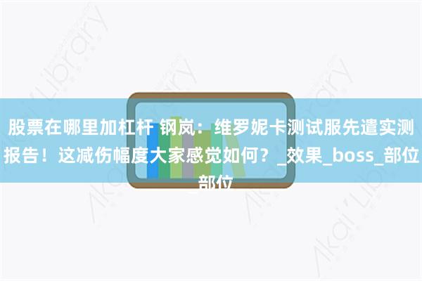 股票在哪里加杠杆 钢岚：维罗妮卡测试服先遣实测报告！这减伤幅度大家感觉如何？_效果_boss_部位