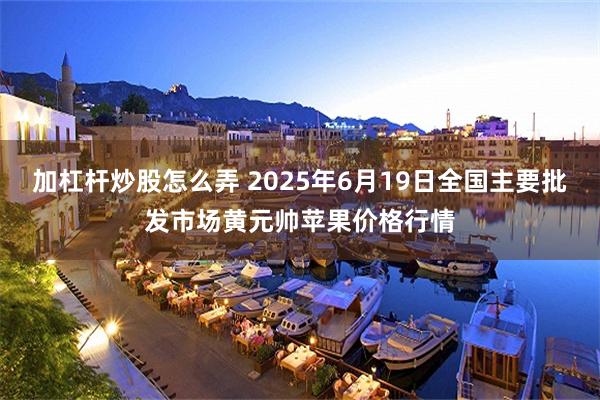 加杠杆炒股怎么弄 2025年6月19日全国主要批发市场黄元帅苹果价格行情