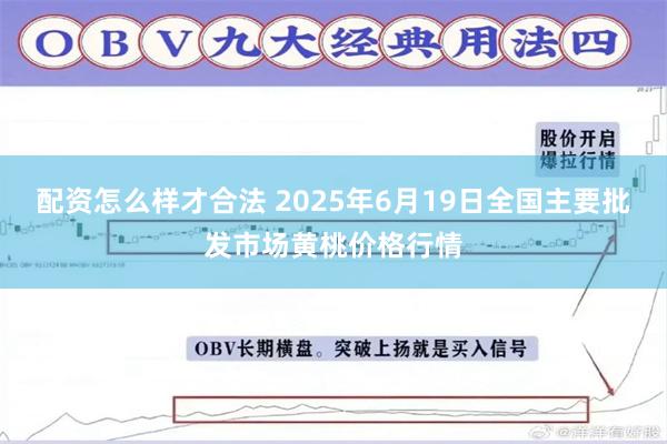 配资怎么样才合法 2025年6月19日全国主要批发市场黄桃价格行情