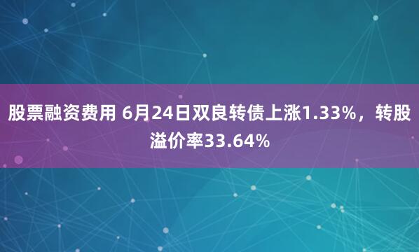 股票融资费用 6月24日双良转债上涨1.33%，转股溢价率33.64%